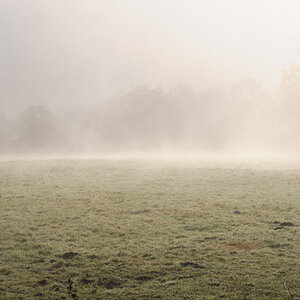 Herbstnebel  -  2009 11 08 11 34 52 1