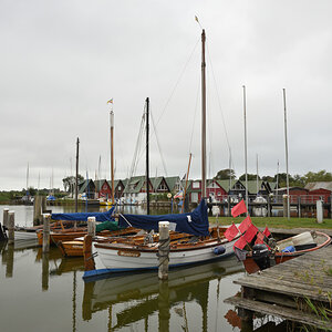 DSC_0220.JPG