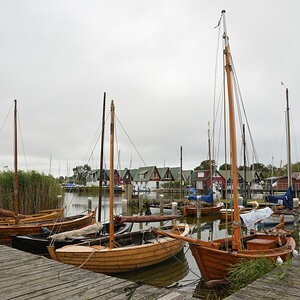 DSC_0221.JPG