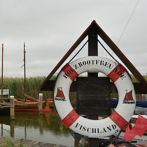 DSC_0223.JPG