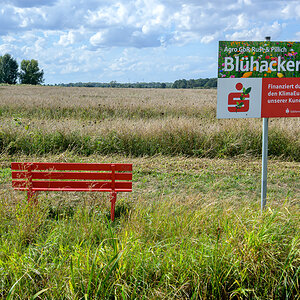 OFZ_07190.jpg