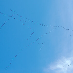 OF-DSC_13153.jpg