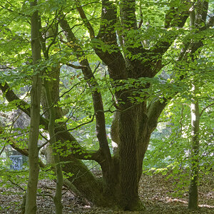 _Z509900_DxOxl.jpg