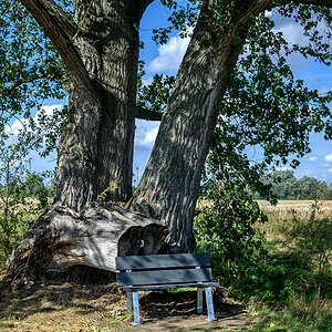 OFZ_07207.jpg