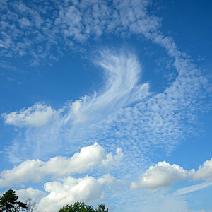 OFZ_07347.jpg