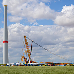 OFZ_06184.jpg