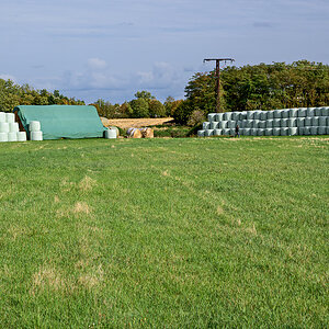 OFZ_07443.jpg