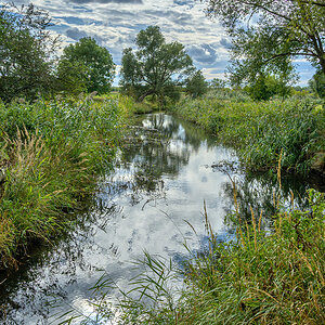 OFZ_07437.jpg