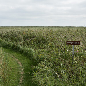 DSC_0248.JPG
