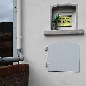 Z8A_3351vp-7fks40p1.jpg