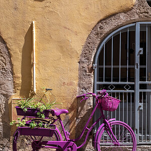 Purpur-Fahrrad