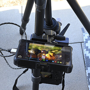 Stativ_Fieldmonitor_ZF11826.jpg