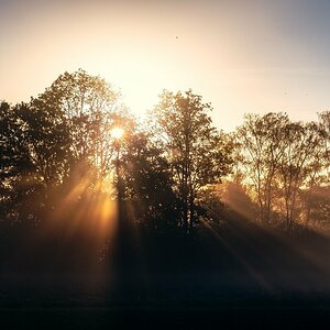 Nebel