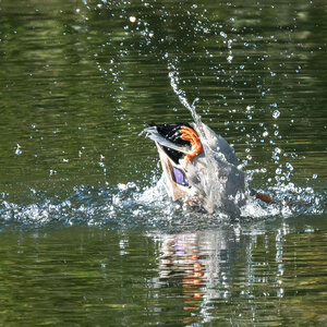 260930-D50_8936-Bearbeitet.jpg