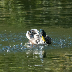 260930-D50_8940-Bearbeitet.jpg