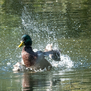 260930-D50_8942-Bearbeitet.jpg