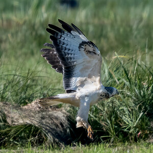 260930-D50_8967-Bearbeitet.jpg