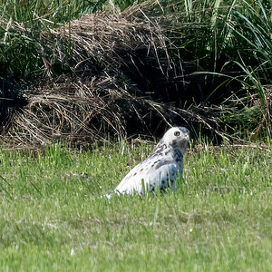 260930-D50_8982-Bearbeitet.jpg