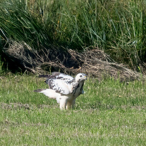 260930-D50_9036-Bearbeitet.jpg