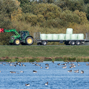 260930-D50_9080-Bearbeitet.jpg