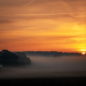 Nebel