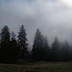 Nebel.jpg