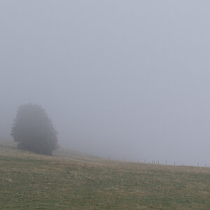 Nebel-2.jpg