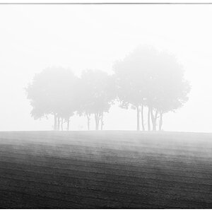 Frühnebel_BW.jpg