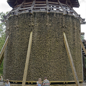 _1230131_DxOxl.jpg