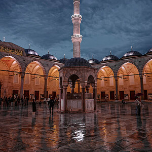 _DSC3908_DxO.jpg