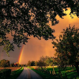 Regen