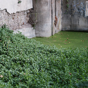 DSCF3490.jpg