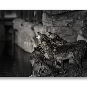 20101020_Besuch Zoo Herbst_0010 WEB FORUM.jpg