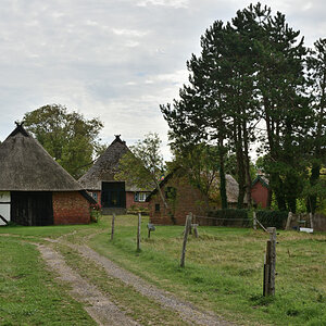 DSC_0536.JPG