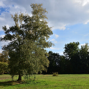 DSC_0802.JPG