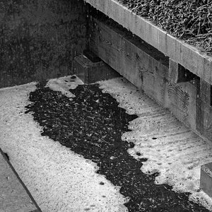 _1230125_DxOPxl_SW_1.jpg