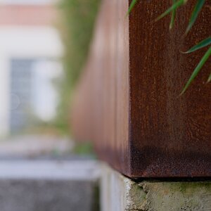 DSCF3487-3.jpg