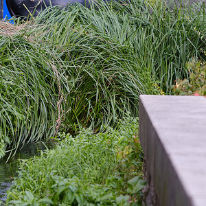 DSCF3492.jpg