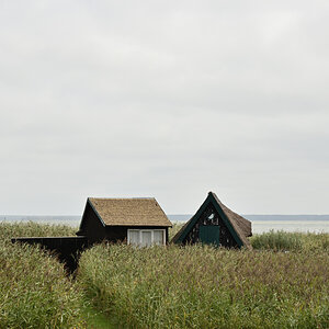 DSC_0245.JPG