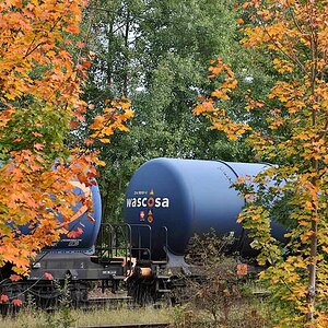 Herbstwaggons.jpg