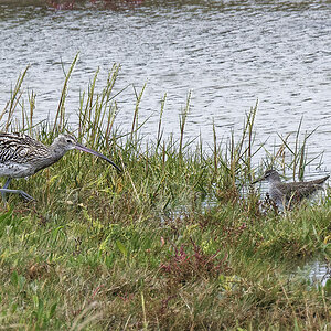 _Z500433_DxOPAAxl_1.jpg