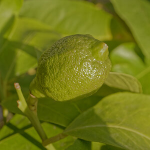 _1230193_DxOAxl.jpg