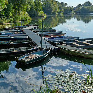 OFZ_07918.jpg