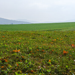 Herbst_DSF4639.jpg