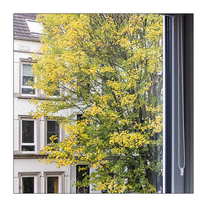 291/365 Nik Kershaw – Wouldn’t It Be Good © 2026 Sabine Lommatzsch