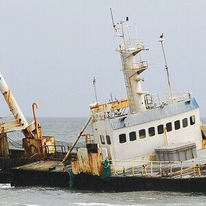 Wrack an der Skeleton Coast