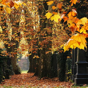 Am Ende des Weges...