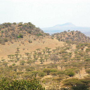 Panorama Tsavo West - Poacher´s Lookout