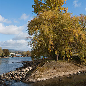 200910251503 - Die Mündung der Selz in den Rhein bei Ingelheim