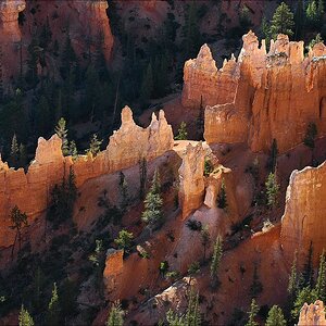 acomp DSC 3576